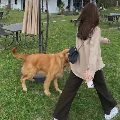 双人保姆 海报
